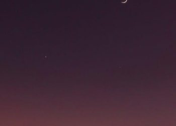 Unveiling Hollywood Stars’ Authentic Family Narratives