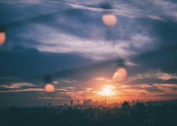 The Mystery of Hollywood’s Covert Unions