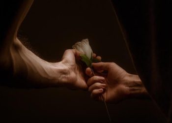 The Rollercoaster Romance: A Celebrity Couple’s Journey