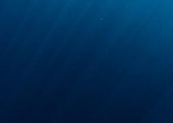 Unveiling the Enigmatic World of Deep Sea Creatures