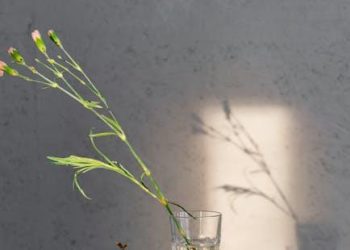 Unlocking the Secrets to Successful Time Management