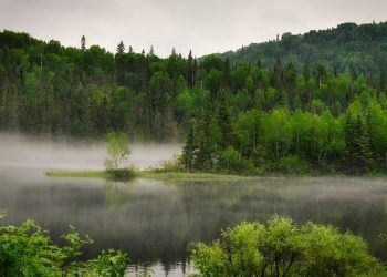 Exploring the Impact of Climate Change on Global Ocean Ecosystems