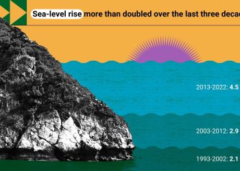 Exploring the Impact of Climate Change on Marine Life