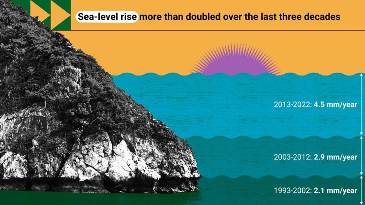 Exploring the Impact of Climate Change on Marine Life