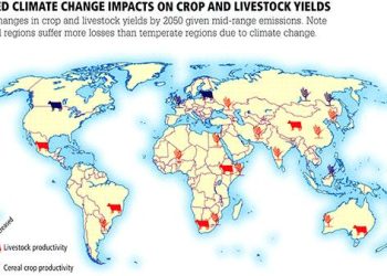 Exploring the Impact of Climate Change on Global Crop Yields