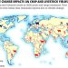 Exploring the Impact of Climate Change on Global Crop Yields