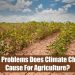 The Impact of Climate Change on Global Agriculture