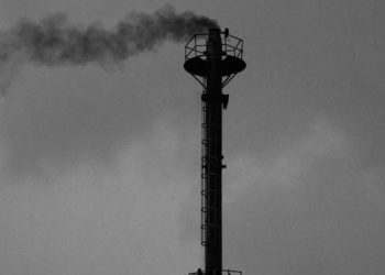 Exploring the Impact of Climate Change on Wildlife Habitats