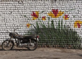 Exploring the Impact of Urbanization on Wildlife Habitats