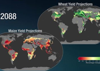 The Impact of Climate Change on Global Agricultural Yields