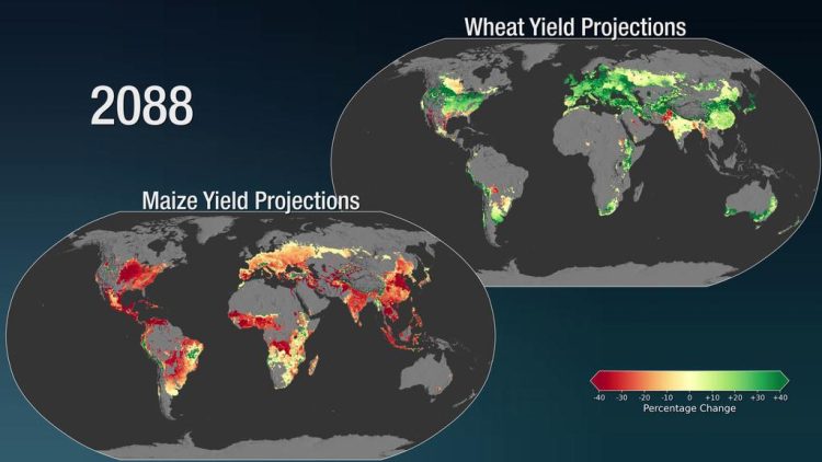 The Impact of Climate Change on Global Agricultural Yields