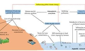 The Evolution of Sustainable Packaging Practices