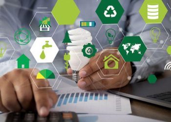 The Impact of Environmental Sustainability on Business Operations